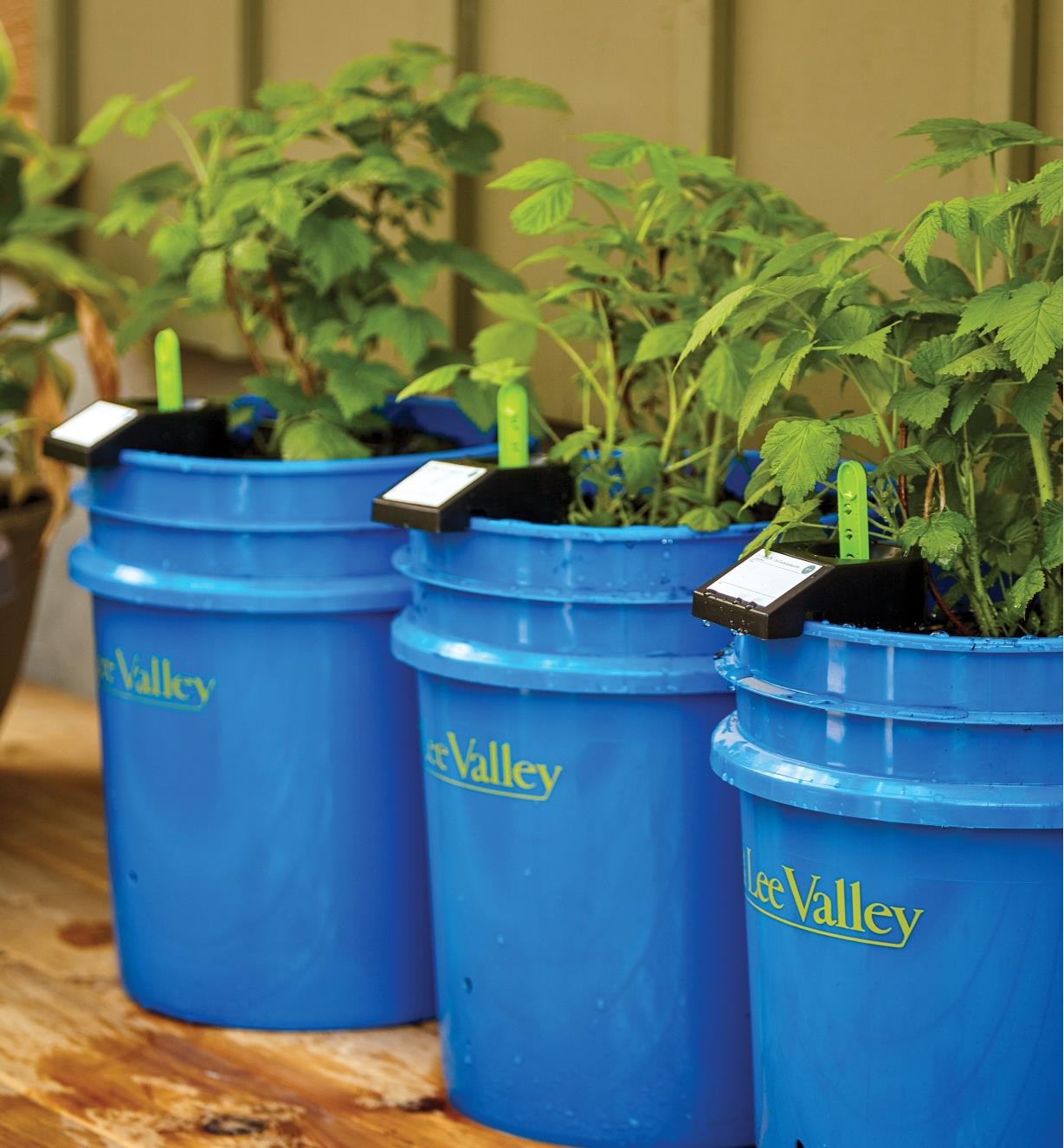 GroBucket Self-Watering Inserts (10 Pack)